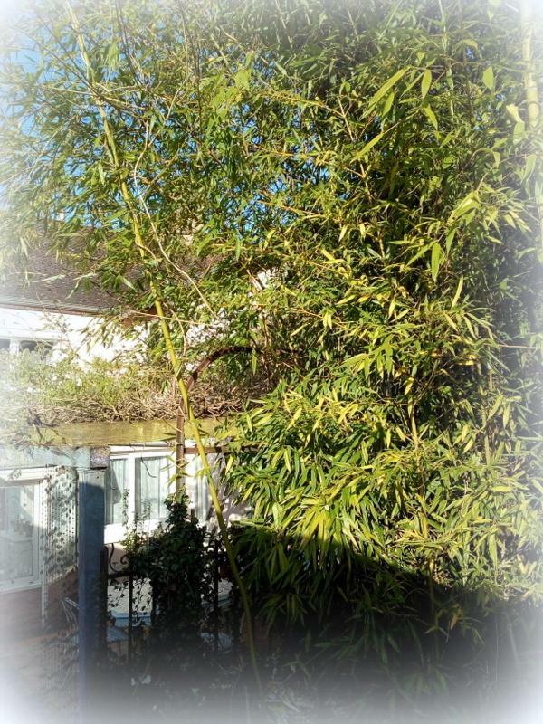 La Maison D'Hocquincourt Bléneau 外观 照片
